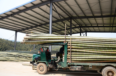 Shenzhen Magic Bamboo Industrial Co., Ltd. 製造者の生産ライン